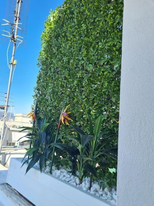 Fay'S Luxury Loft Apartment Volos Exterior photo